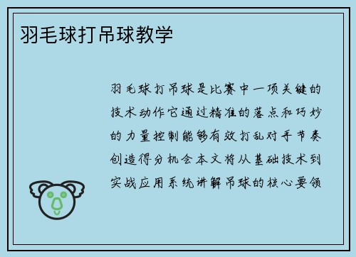 羽毛球打吊球教学