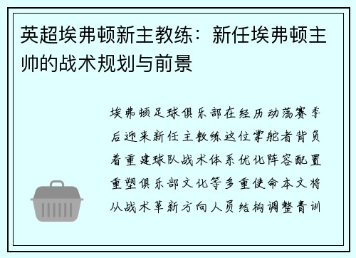英超埃弗顿新主教练：新任埃弗顿主帅的战术规划与前景