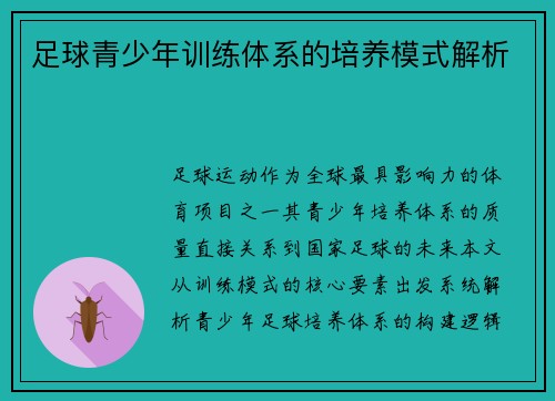 足球青少年训练体系的培养模式解析